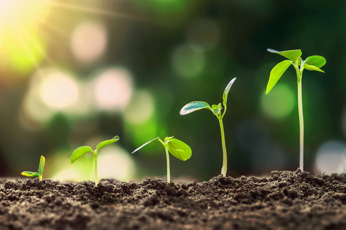 BIG Agro: An ongoing Journey of Shared Dreams