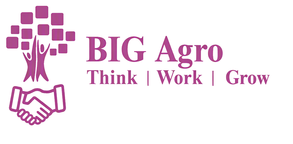 BIG Agro